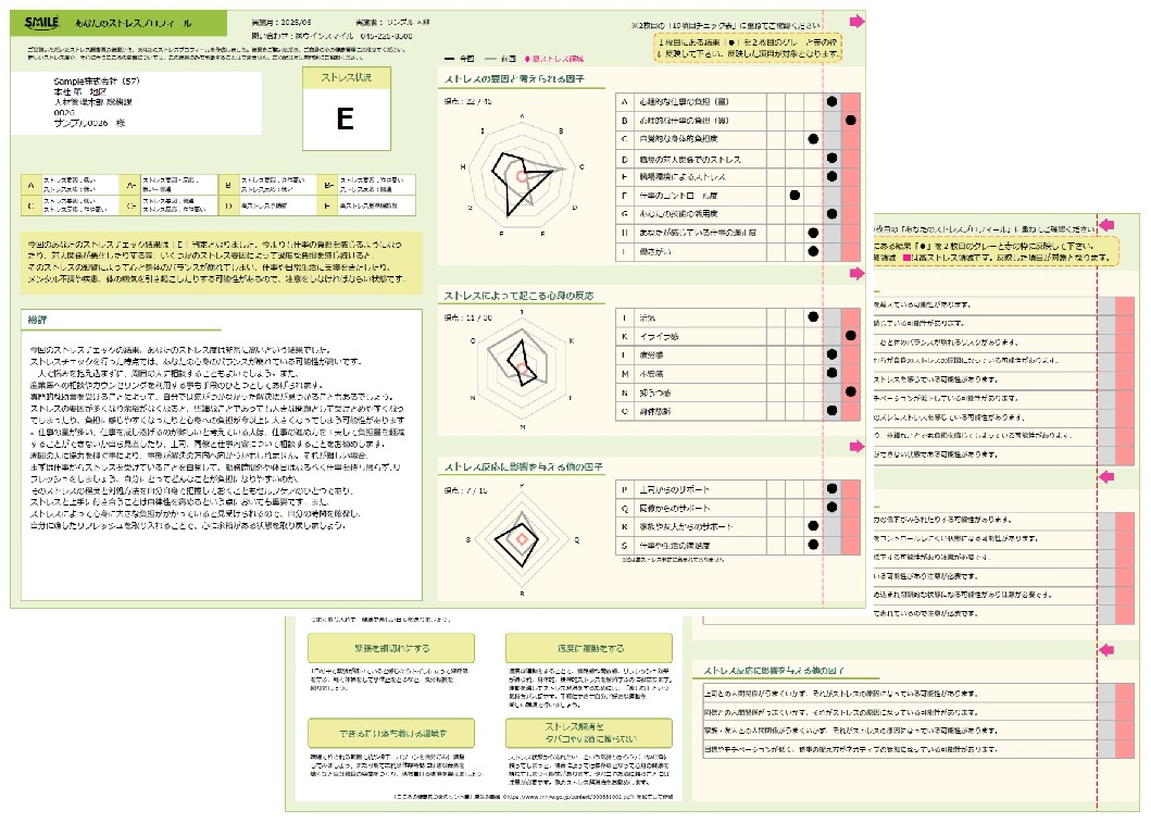 あなとのストレスプロフィール